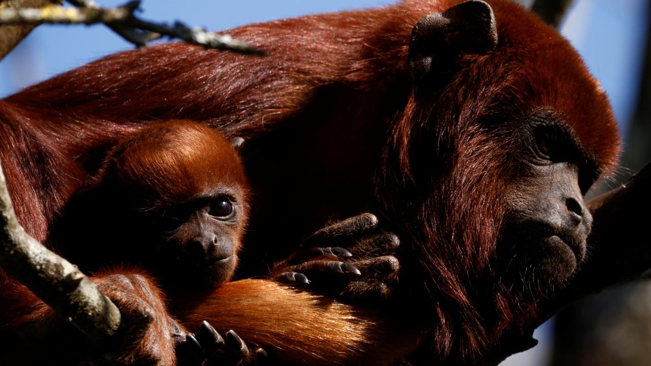 REUTERS/Stephane Mahe