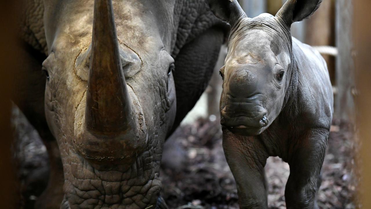 REUTERS/Piroschka van de Wouw