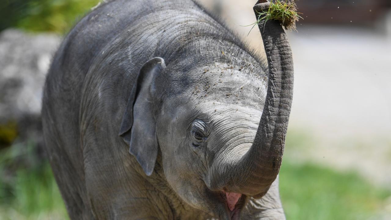  REUTERS/Andreas Gebert