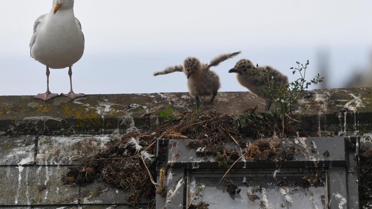 REUTERS/Toby Melville