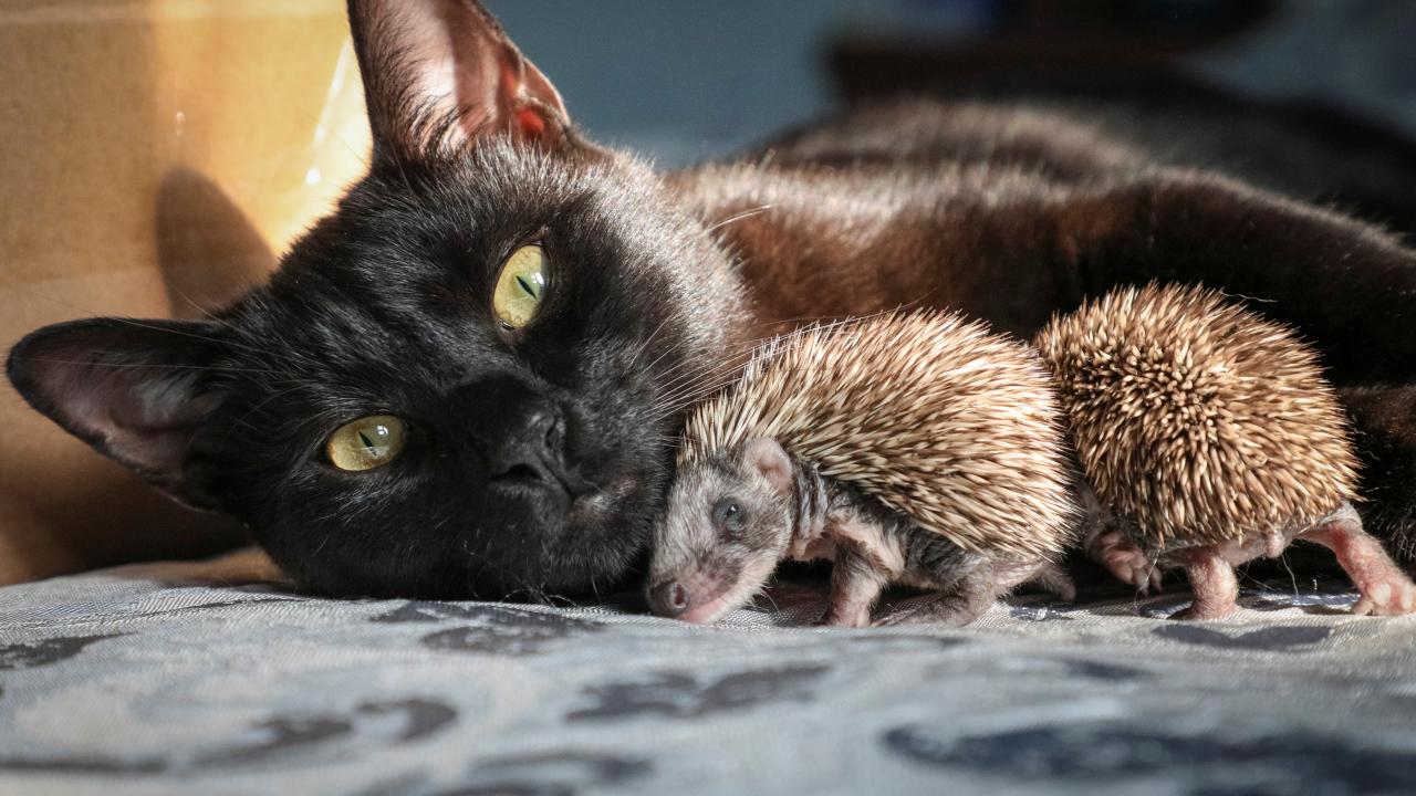 REUTERS/Alexey Pavlishak