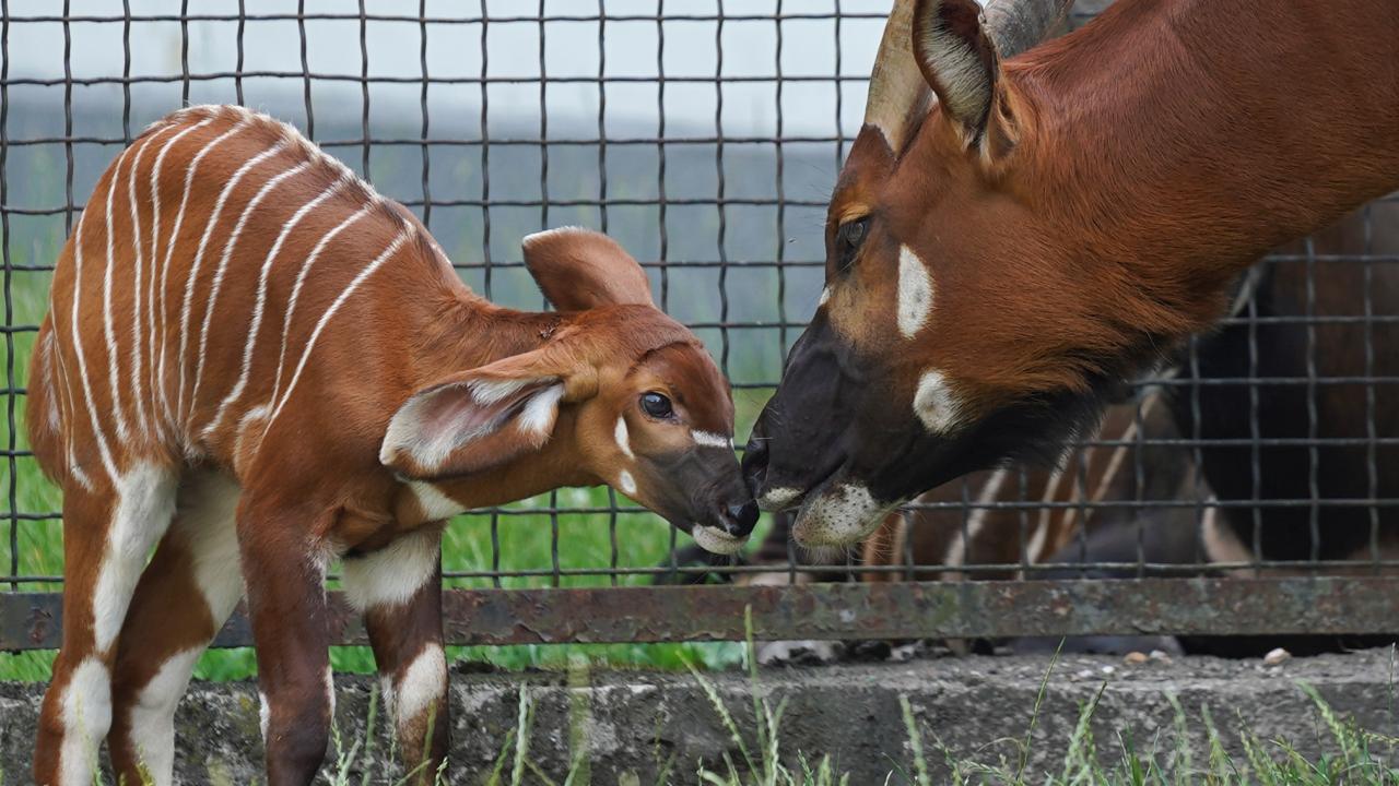 REUTERS/Aleksandra Szmigiel