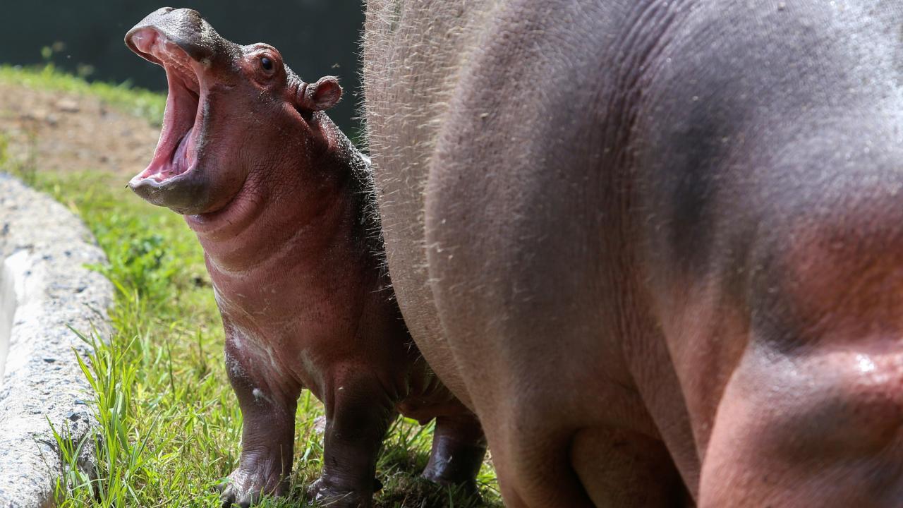 REUTERS/Fernando Carranza