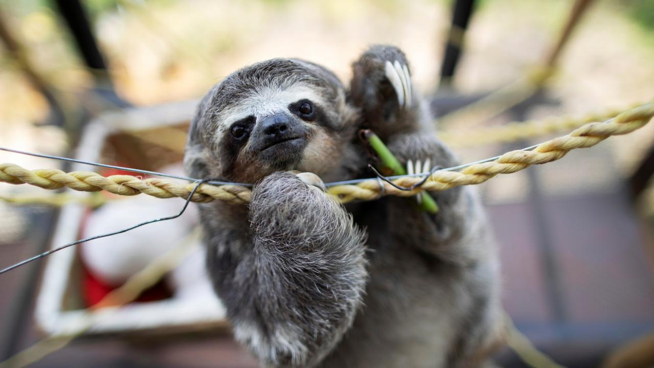 REUTERS/Leonardo Fernandez Viloria