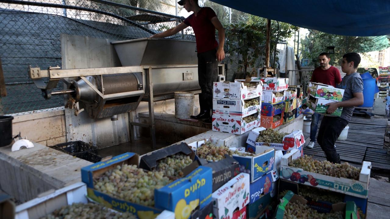 Yıllık 50 bin ton üzüm