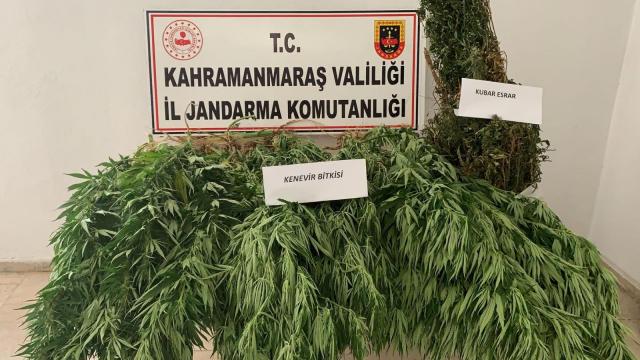 Kahramanmaraşta uyuşturucu operasyonu: 1 gözaltı