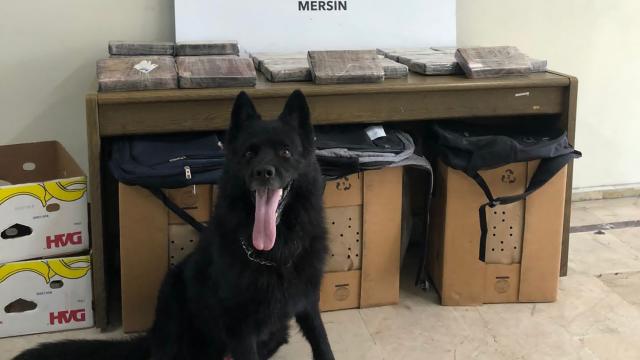Mersin Limanında 30 kilogram uyuşturucu ele geçirildi