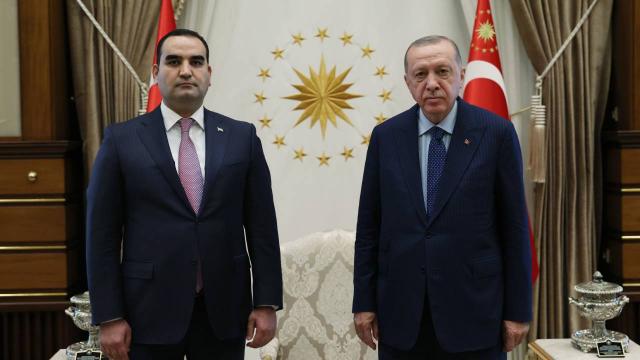 Büyükelçiler Cumhurbaşkanı Erdoğana güven mektubu sundu