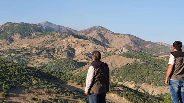 Bingölde üç gün önce başlayan orman yangını kontrol altında