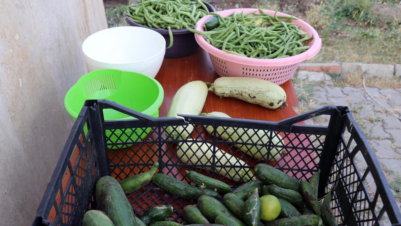 Önceden boş olan bahçede bostan oluşturmaya karar verdiklerini dile getiren Güneş, şunları kaydetti:
