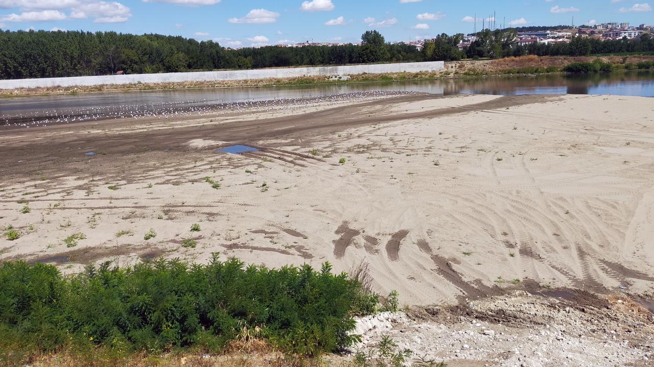 Meriç Nehri kumsala dönüştü