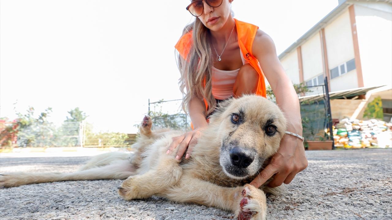 Pati koruyucularından hastaneye 300 bin liralık malzeme desteği