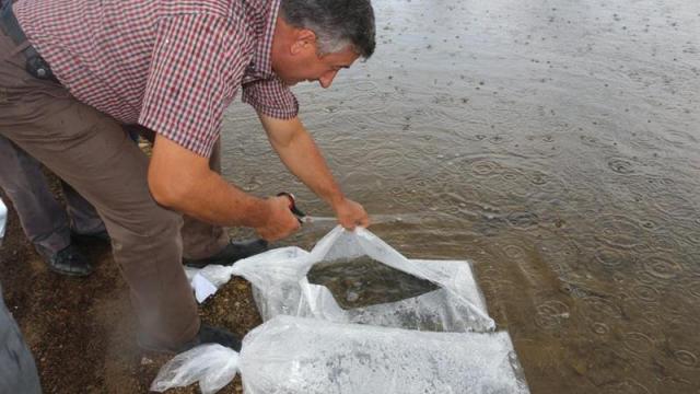 Kırklarelinde 23 gölete 164 bin 459 balık yavrusu bırakıldı