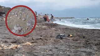 Akdeniz'deki petrol sızıntısı Samandağ sahiline ulaştı