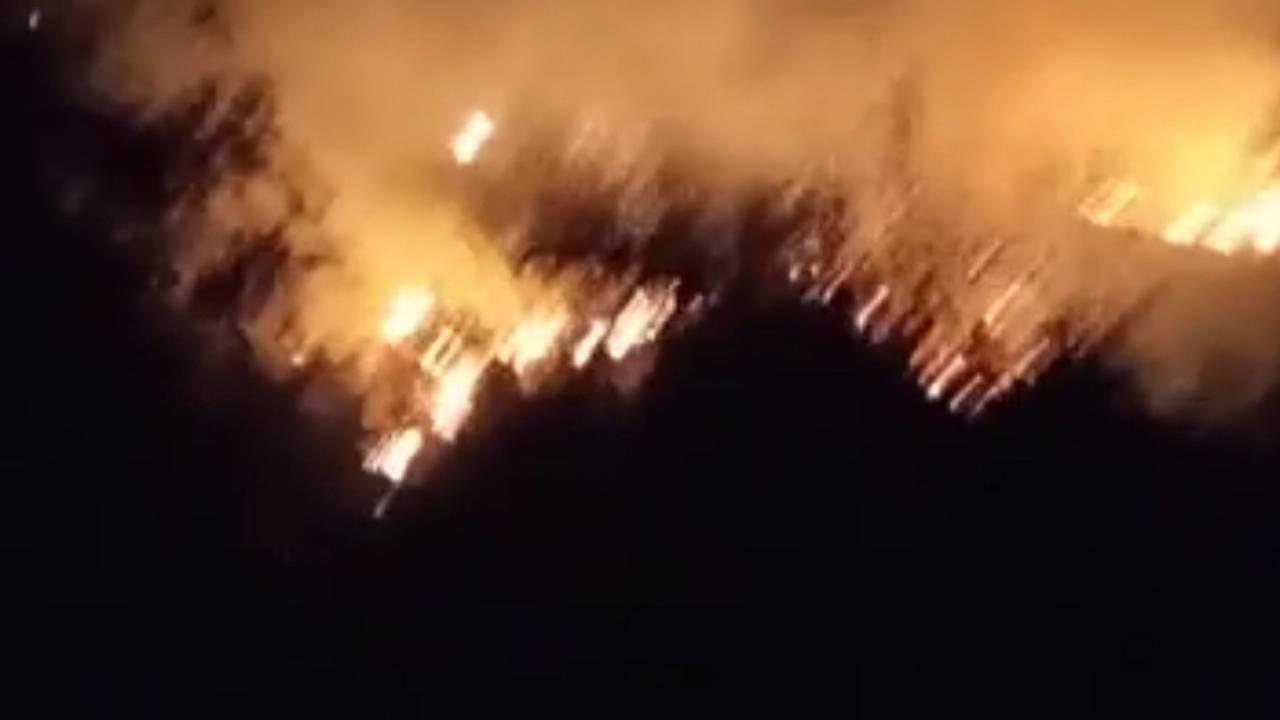 Tekirdağ'da otluk ve zeytinlik alanda yangın