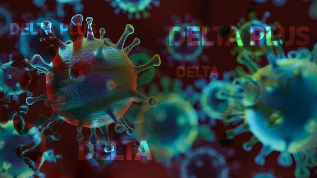 Aşısızlar bir tür virüs için konak oluşturmuş oluyor ve hem yeni varyantların getirdiği klinik seyirle karşılaşmış oluyorlar, hem de virüsün çoğalması için bir ortam yaratmış oluyorlar. 