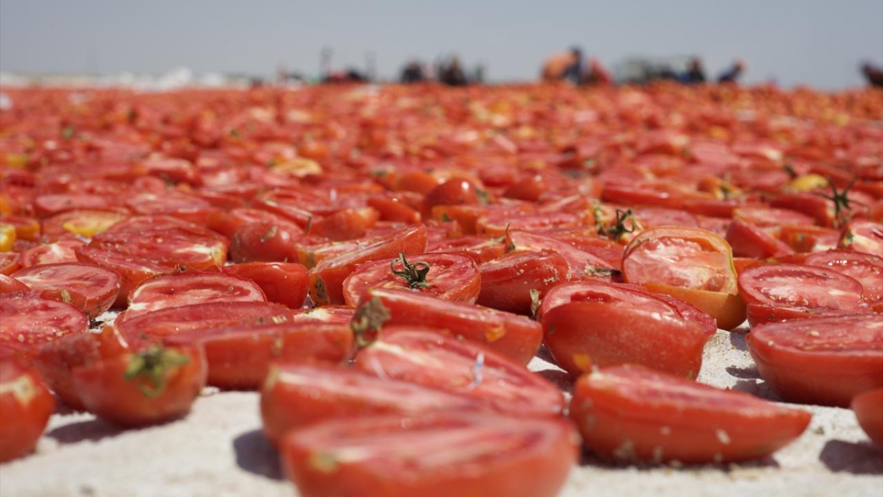 "Burada işin asıl zor tarafını yapan çiftçidir"