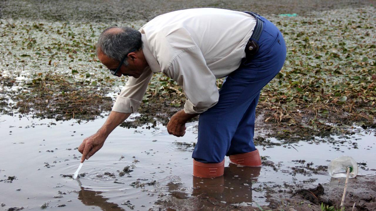 “Sülükleri çalıyorlar’’