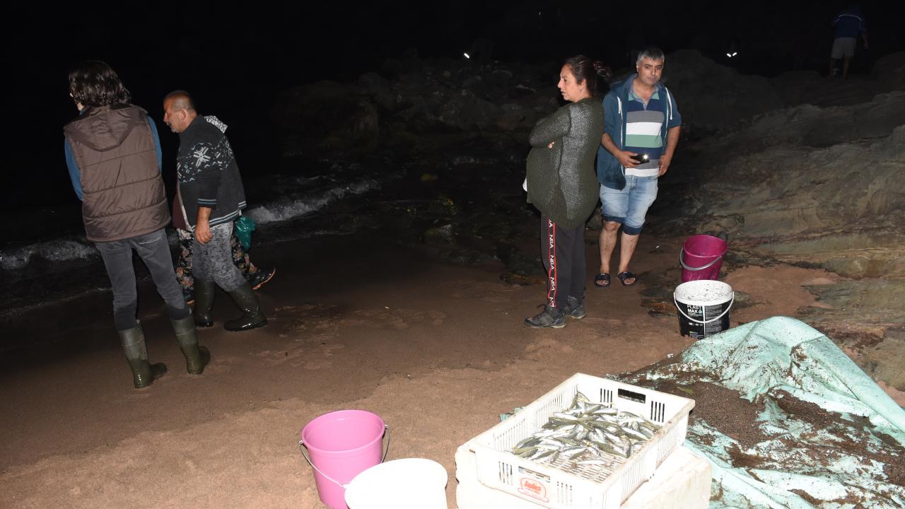 Vatandaşlar sahile akın etti 