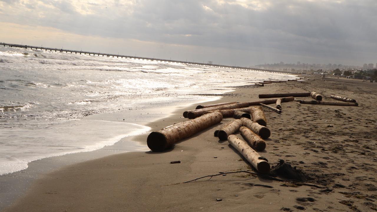 "Samsun`a kadar sürüklenmiş"