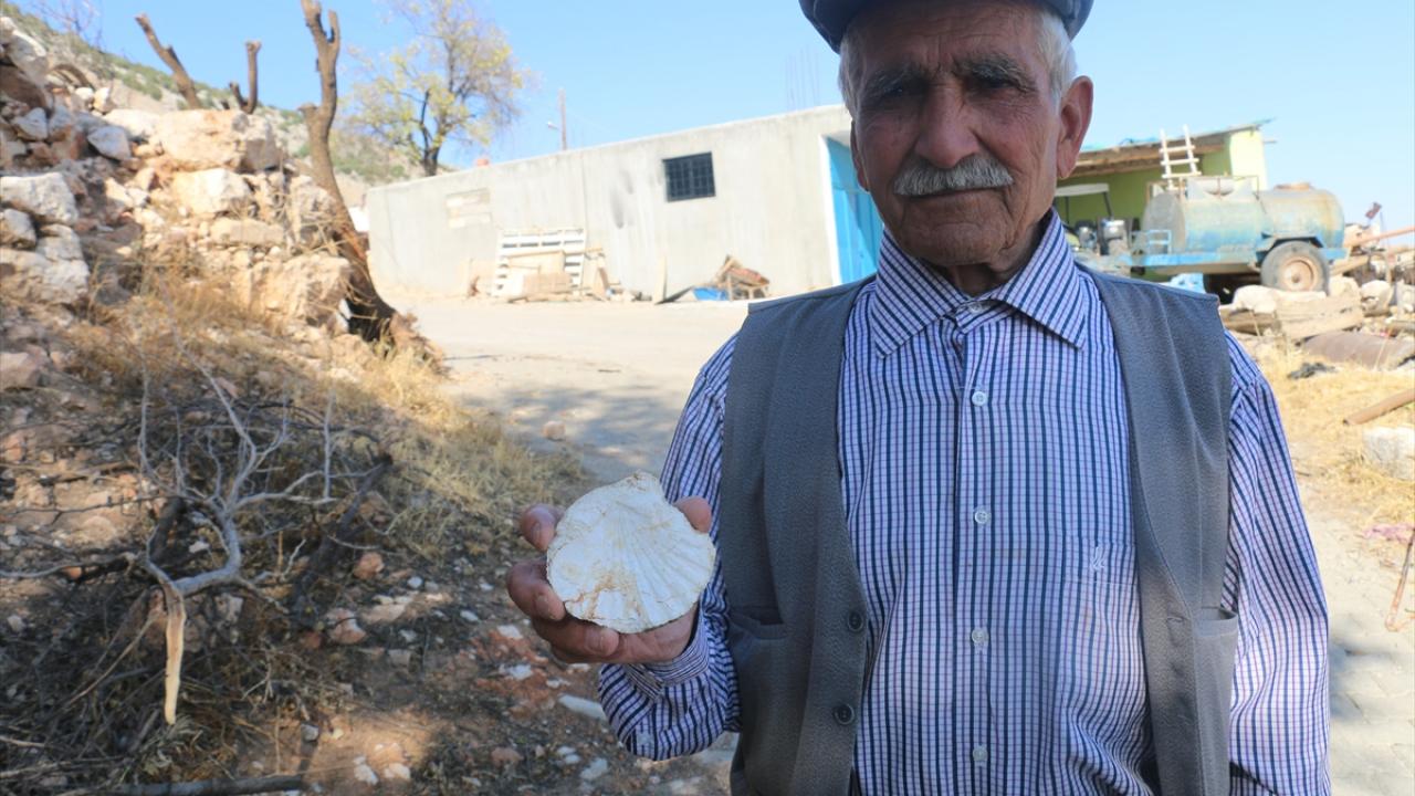 "Çocuklarım fosil olduğunu söylediler"