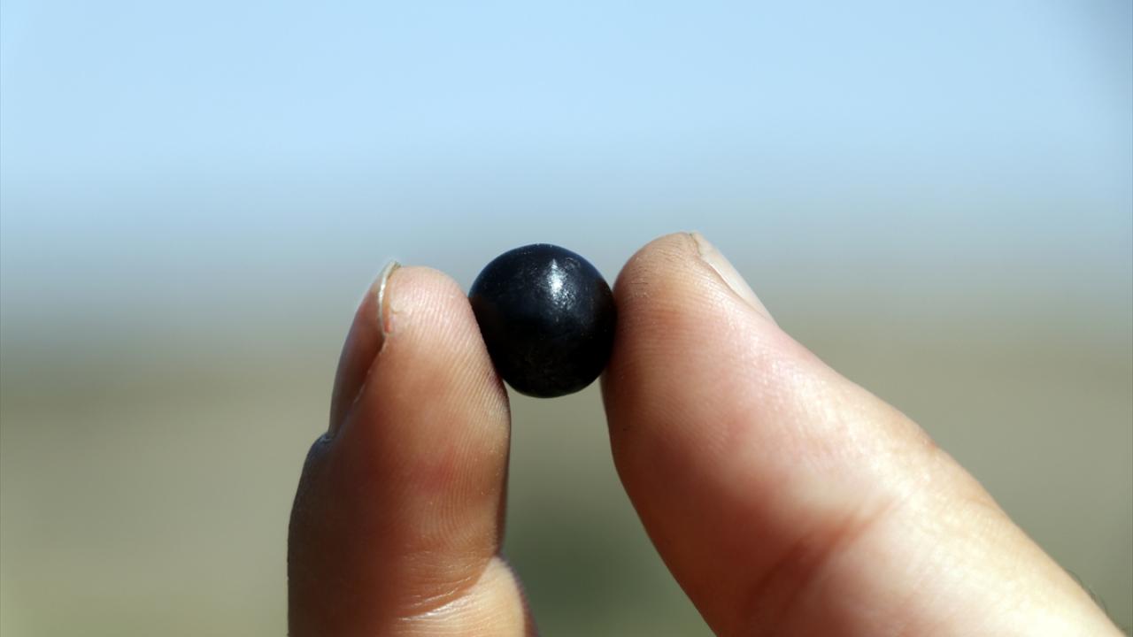 "Aronya bir sağlık meyvesi"