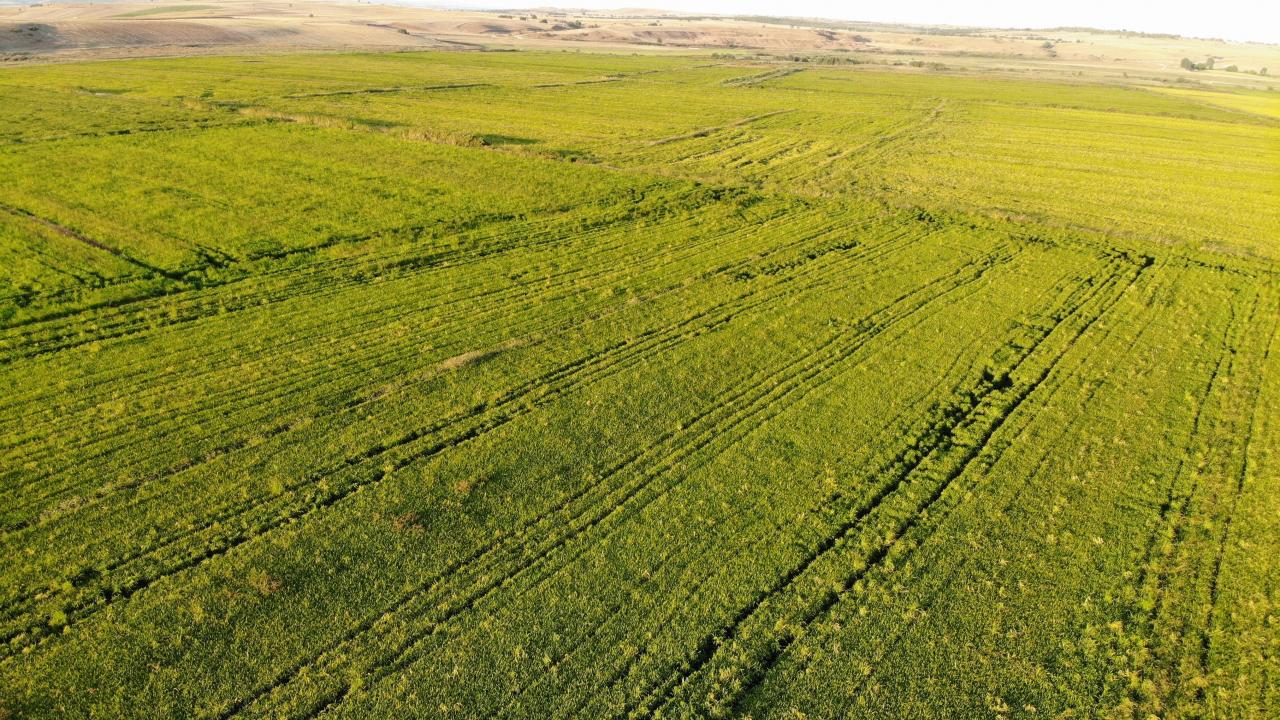 "Açıklanan fiyatlar üreticilerin yüzünü güldürdü"