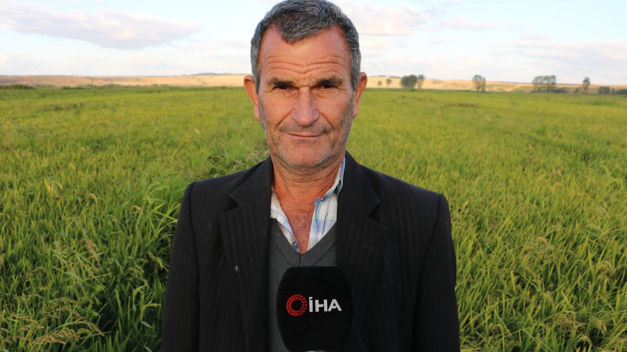 "Fiyatlar açıklandı şimdi hasat zamanı"