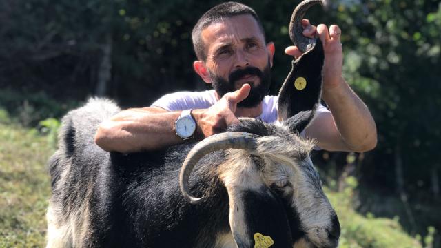 Kulağında boynuz çıkan keçi görenleri şaşırttı