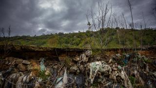 Doğa dostu bakteri atık sorununa çözüm olabilir