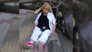 Rüzgarda devrilen ağaç kadını yaraladı