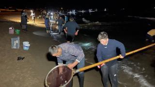 Kıyıya vuran balıkları toplamak için sahile akın ettiler