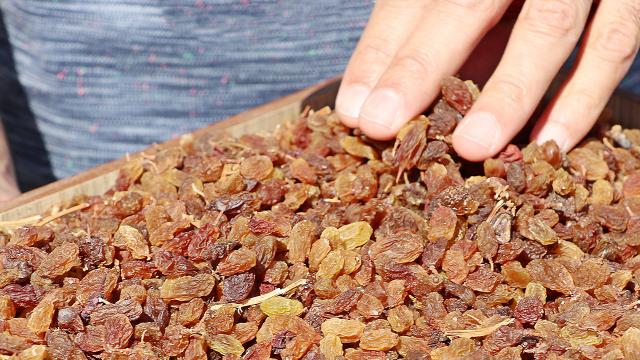 Kuru üzüm üreticisine 15 milyon liralık ödeme