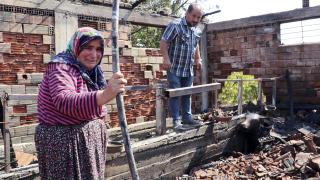 Telef olan hayvanları için gözyaşlarına boğuldu