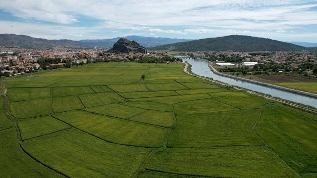 Tarım sezonunda yağışlar geçen yıla göre arttı