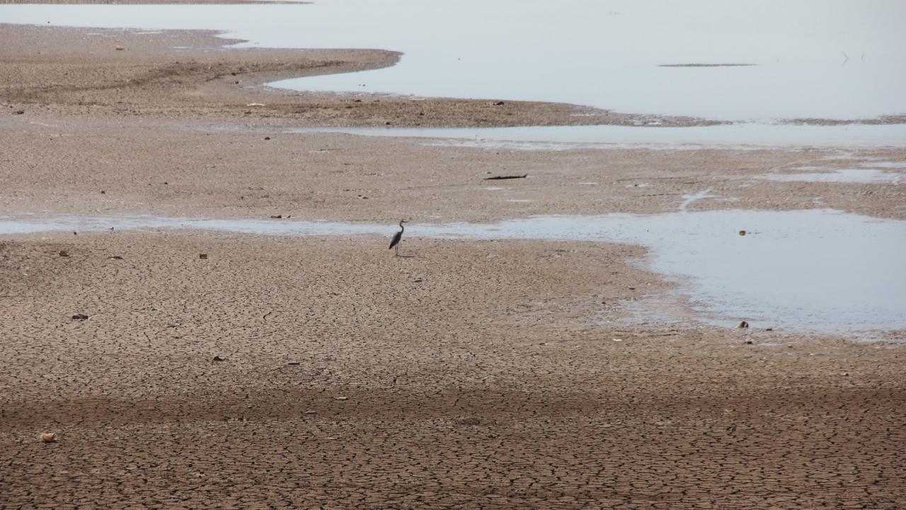 "Maalesef barajlar kuruyor"