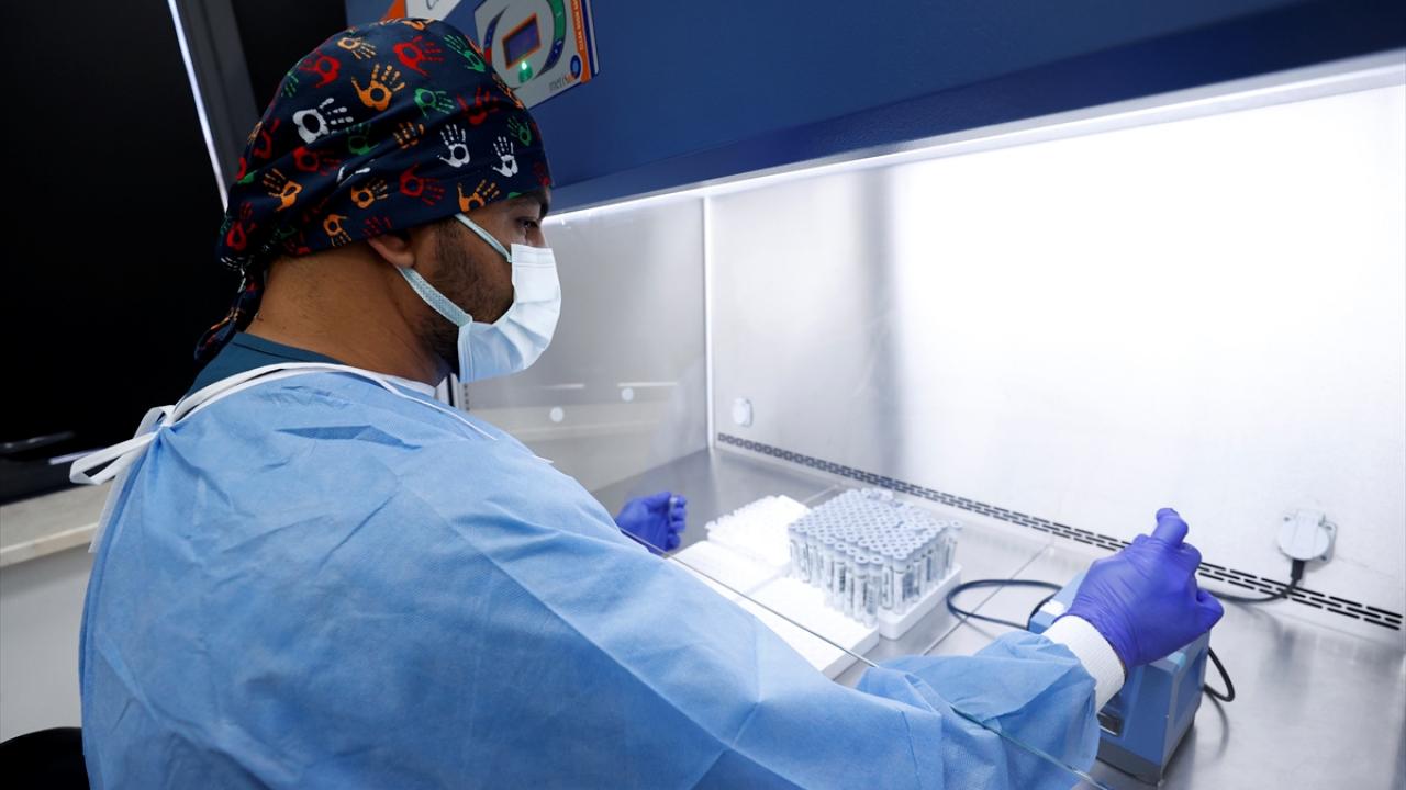 "Yüzde 50`lik artış oldu"