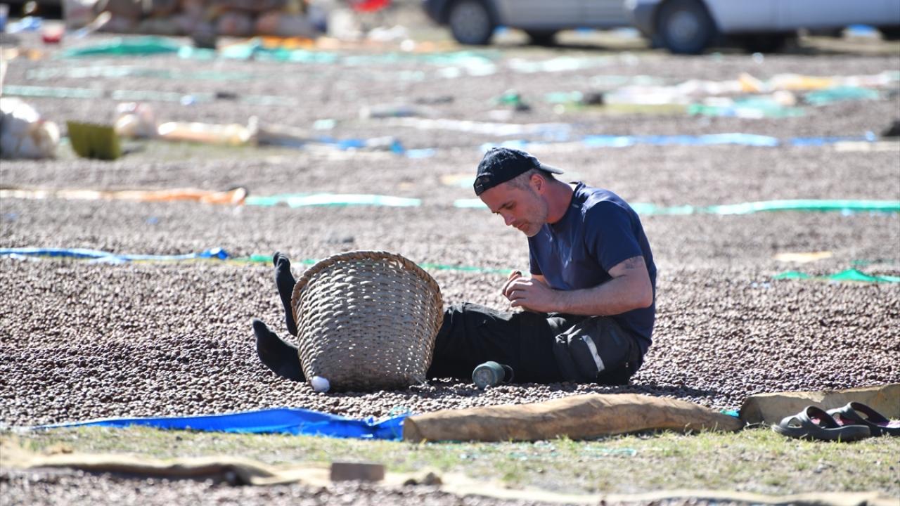 "İnşallah üç gün sonra kurutup sahile götüreceğiz"