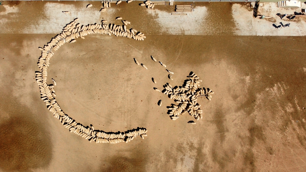 "Güzel bir görüntü oluştu"