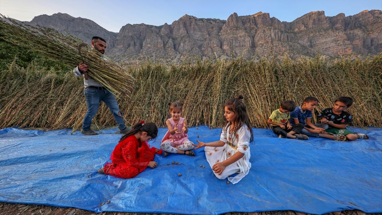 "Çukurca`nın tahini çok meşhurdur" 