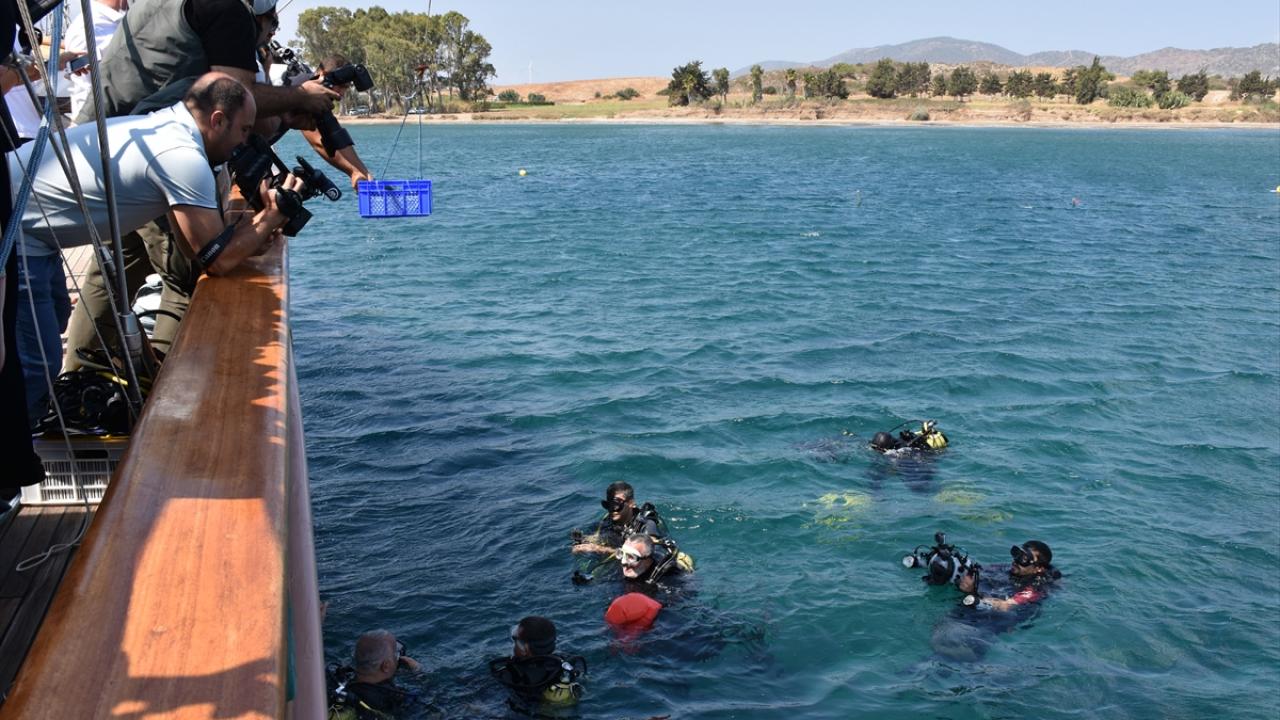 "Kazıların artması ve sürelerinin uzaması gerekiyor"