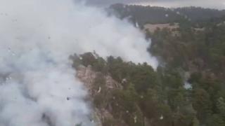 Antalya'da orman yangını