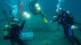 Bakan Ersoy, Osmanlı gemisinin batığına daldı