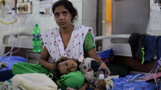 Hindistan'da dang humması vakaları artıyor