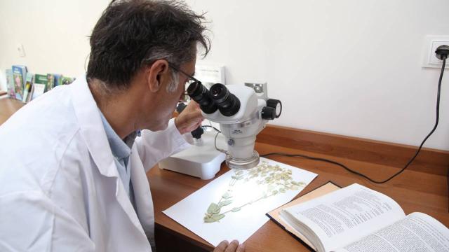 Yeni endemik bitki türü keşfedildi