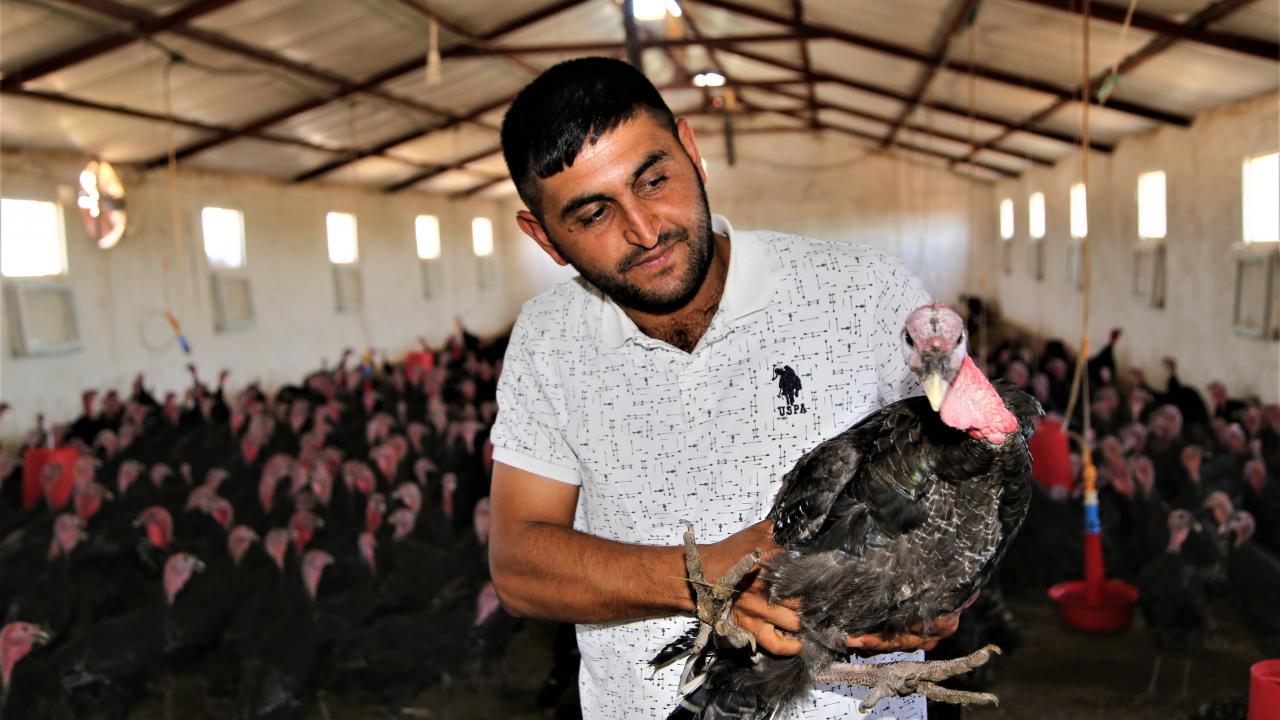 Şanlıurfa`nın kanatlı hayvan üretiminde söz sahibi olması için destek beklediklerini aktaran Dil,