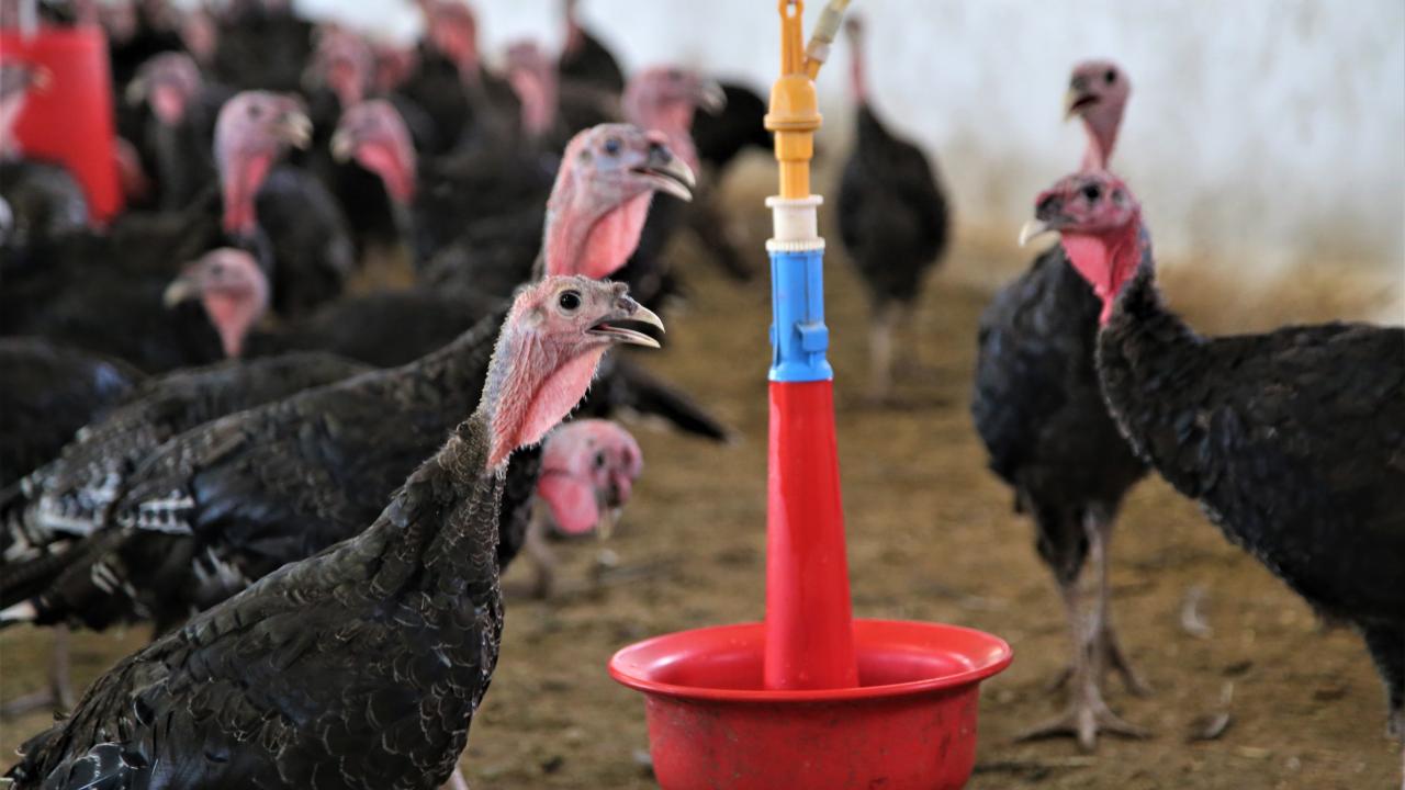 "Bu sektörde büyümeyi hedefliyoruz"