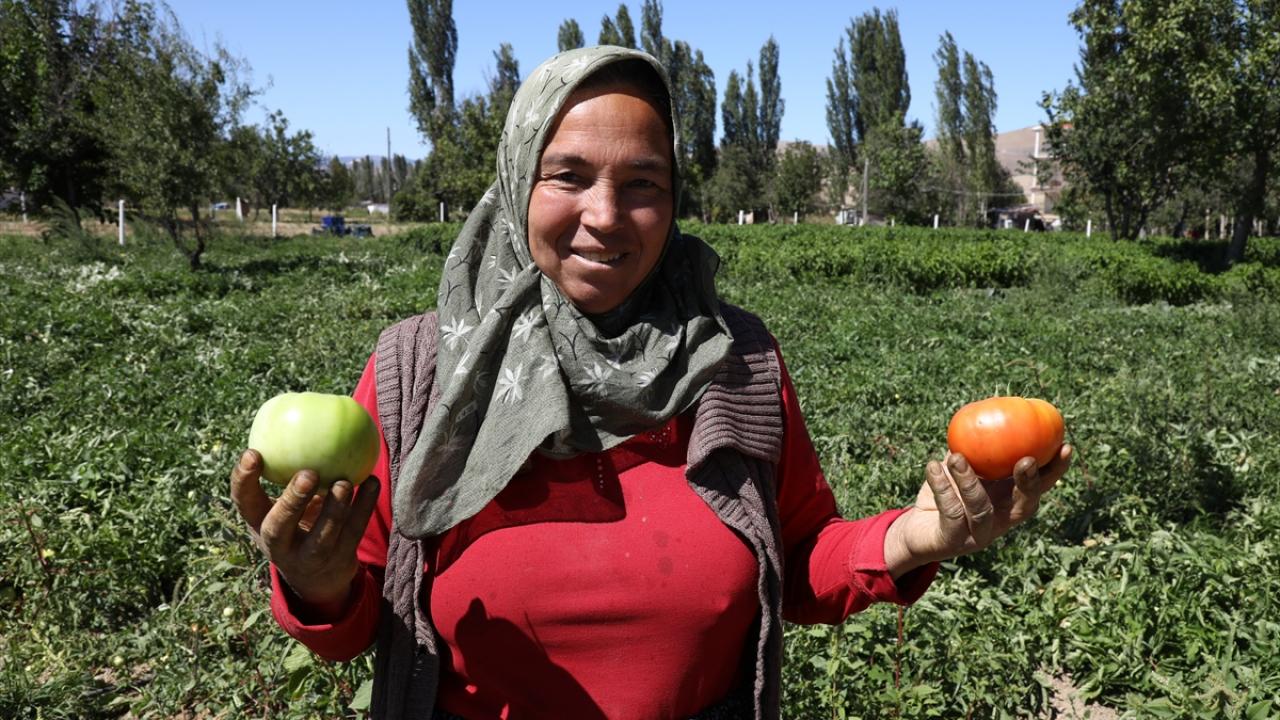 "Verim alamaz olduk" 