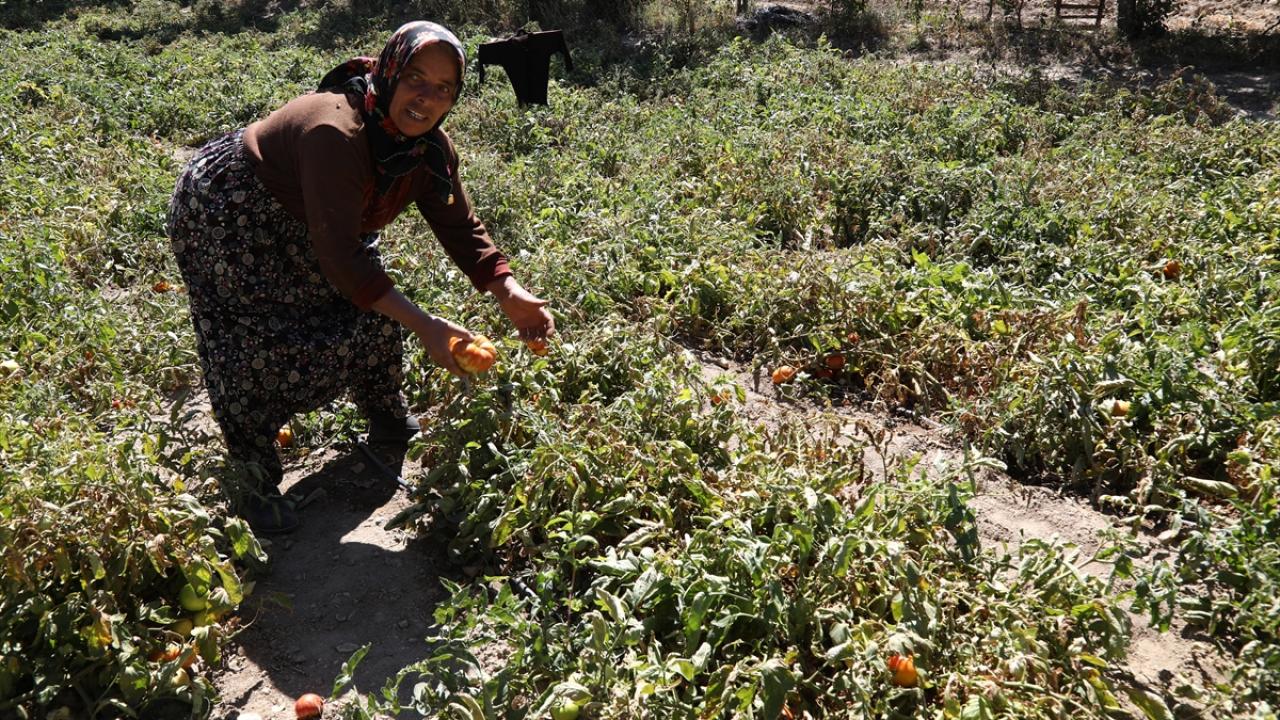 "Bize su getirsinler, başka bir şey istemiyoruz"