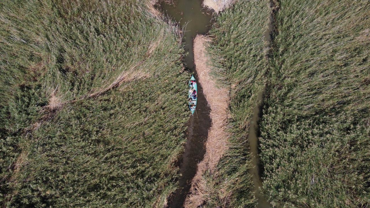"Tekne turu harikaydı"